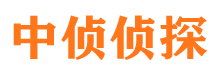 乐东私家侦探公司